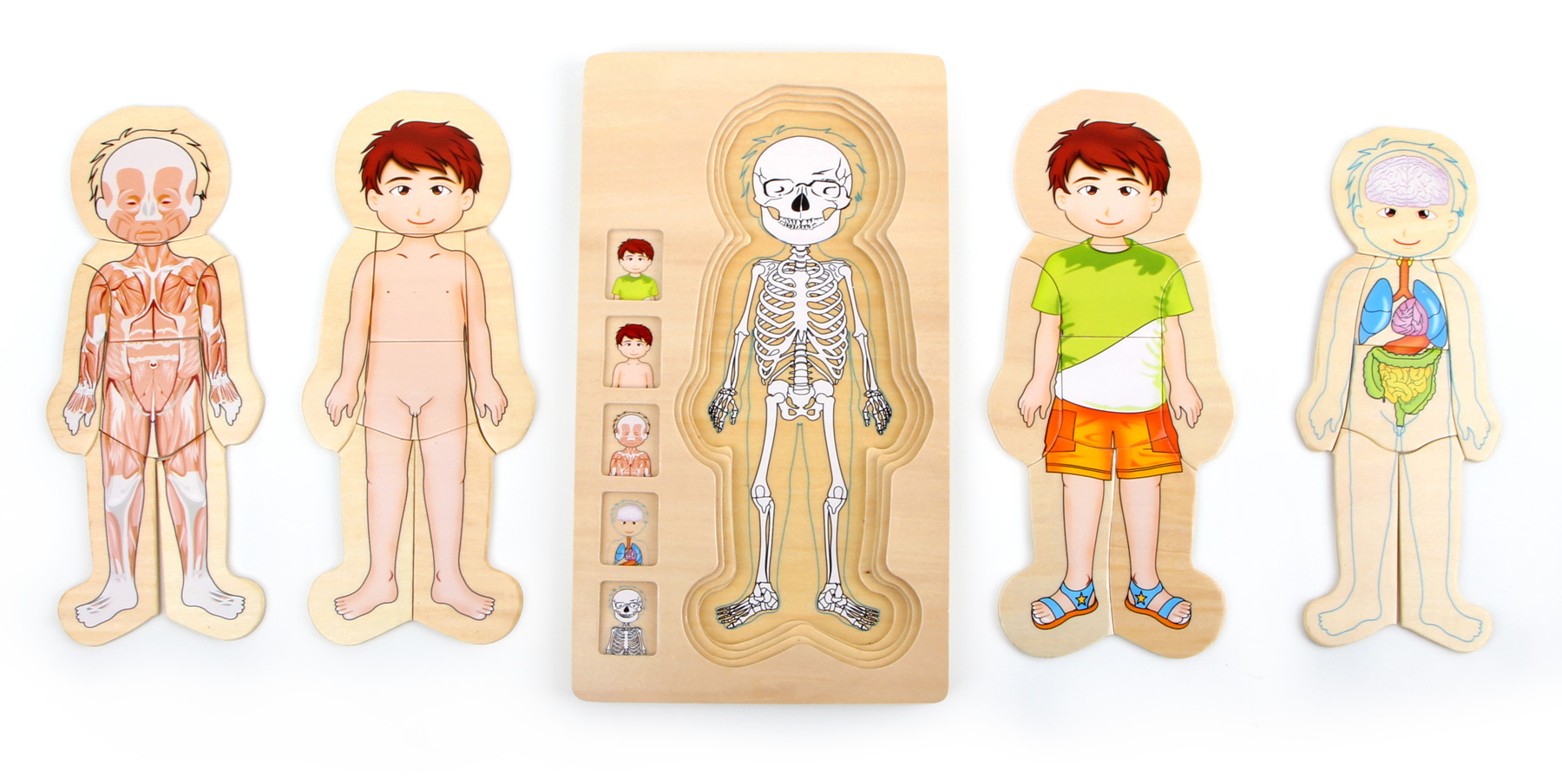 Small Foot Puzzle Anatomia Tim